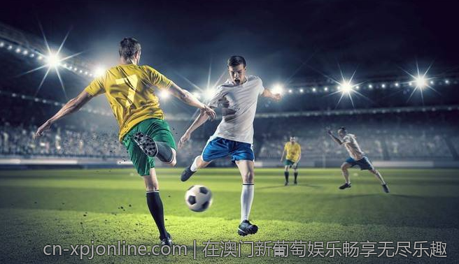 在澳门新葡萄娱乐畅享无尽乐趣
